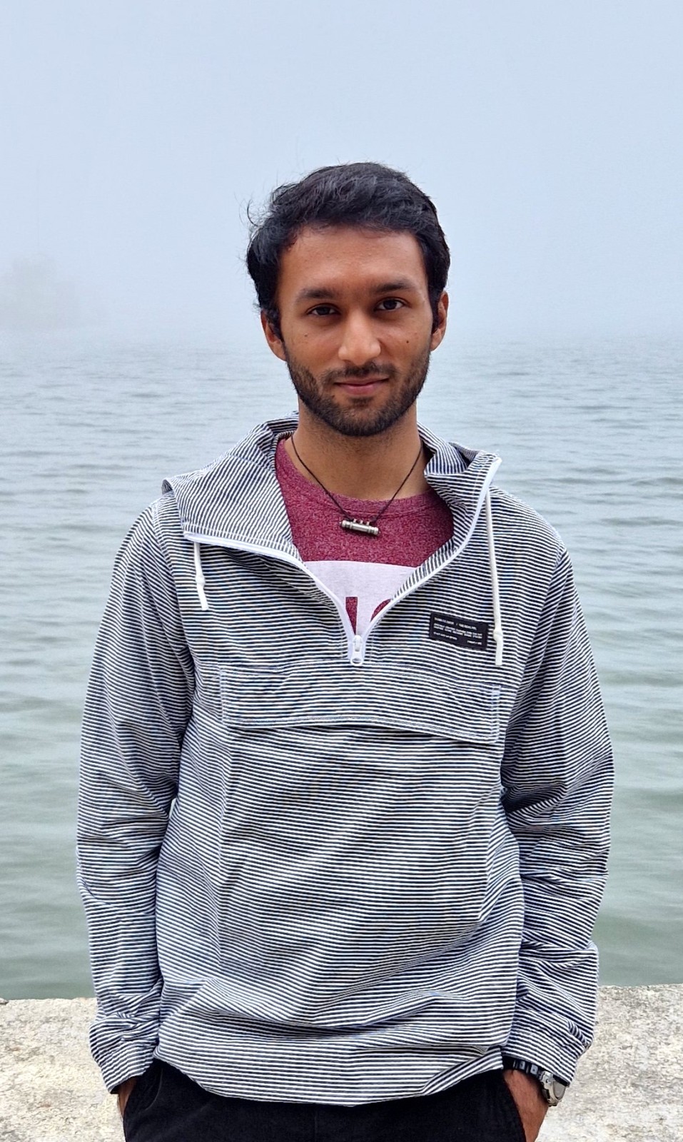 Aswin Krishna